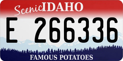 ID license plate E266336
