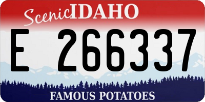 ID license plate E266337