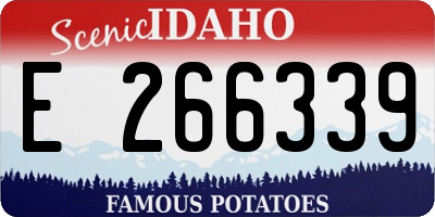 ID license plate E266339