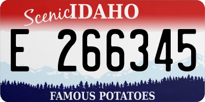 ID license plate E266345