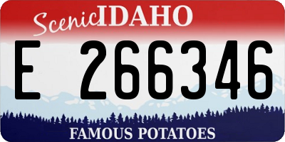 ID license plate E266346