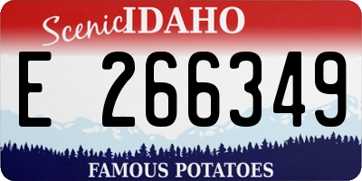 ID license plate E266349