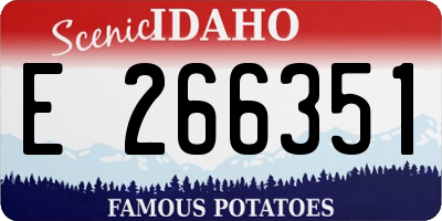 ID license plate E266351