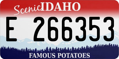 ID license plate E266353