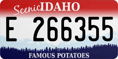 ID license plate E266355