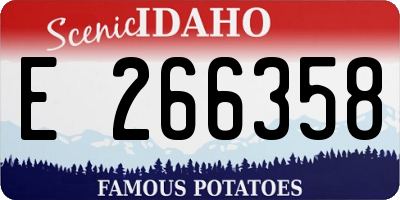 ID license plate E266358
