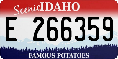 ID license plate E266359