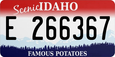 ID license plate E266367