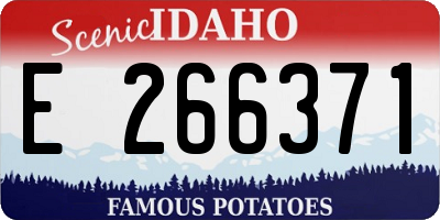 ID license plate E266371
