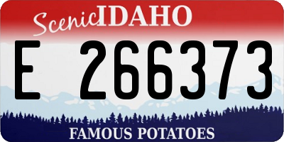 ID license plate E266373