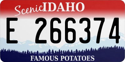 ID license plate E266374