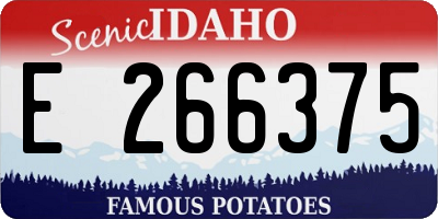 ID license plate E266375