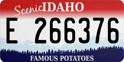 ID license plate E266376