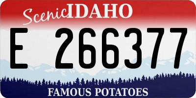 ID license plate E266377