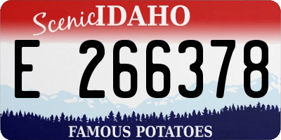 ID license plate E266378