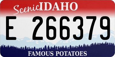 ID license plate E266379