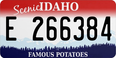 ID license plate E266384