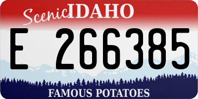 ID license plate E266385
