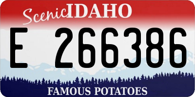 ID license plate E266386