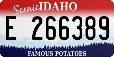 ID license plate E266389