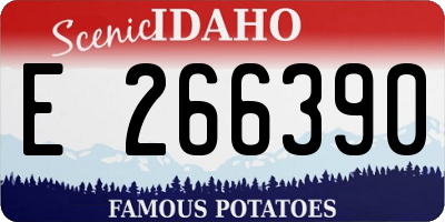 ID license plate E266390