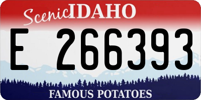 ID license plate E266393