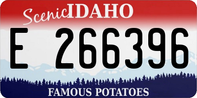 ID license plate E266396