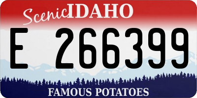 ID license plate E266399