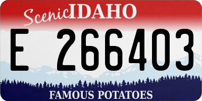 ID license plate E266403