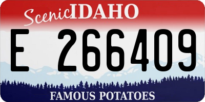 ID license plate E266409