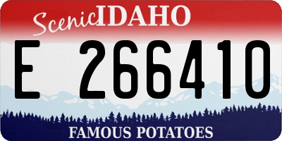 ID license plate E266410