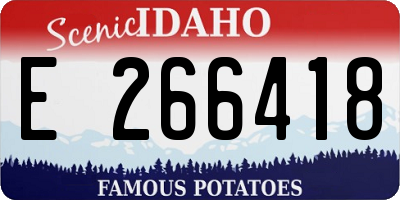 ID license plate E266418