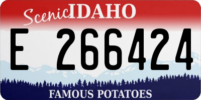 ID license plate E266424