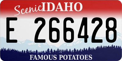 ID license plate E266428