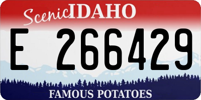 ID license plate E266429