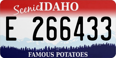 ID license plate E266433