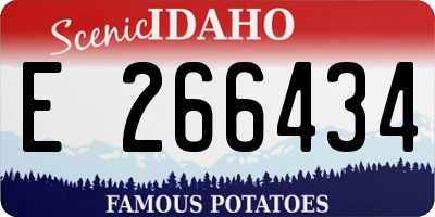 ID license plate E266434