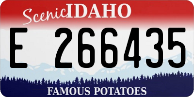 ID license plate E266435