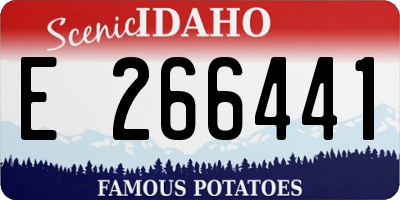 ID license plate E266441
