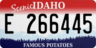 ID license plate E266445
