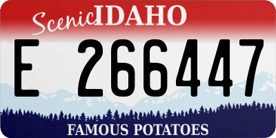 ID license plate E266447