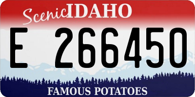 ID license plate E266450