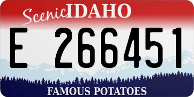 ID license plate E266451