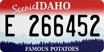 ID license plate E266452