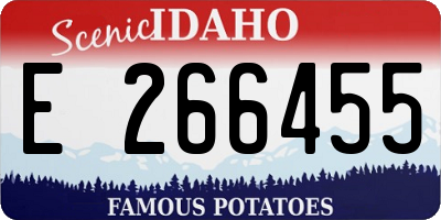 ID license plate E266455