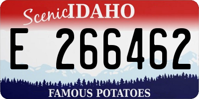 ID license plate E266462