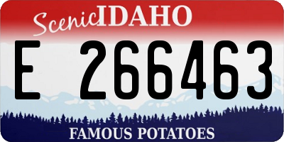 ID license plate E266463