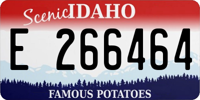 ID license plate E266464