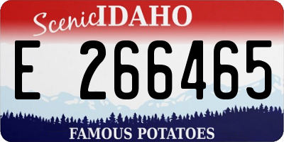 ID license plate E266465