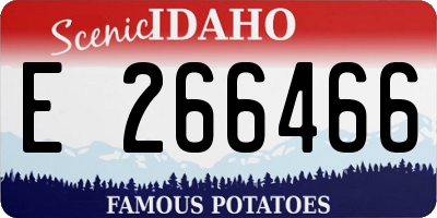 ID license plate E266466